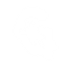 Ghost Fluid